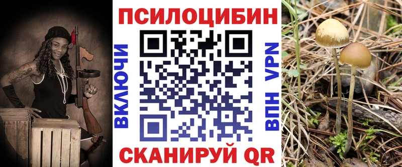 маркетплейс наркотические препараты Горбатов Псилоцибиновые грибы Psilocybe kraken как войти